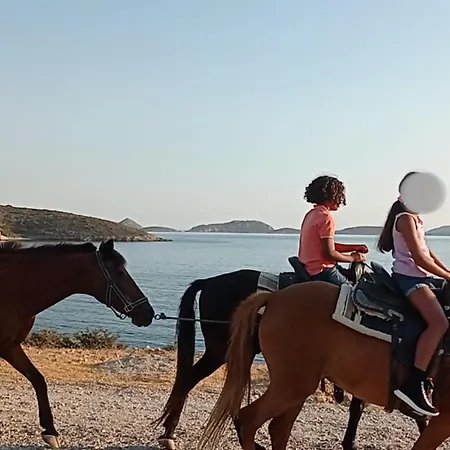 公寓 Voula's Garden 利普西島