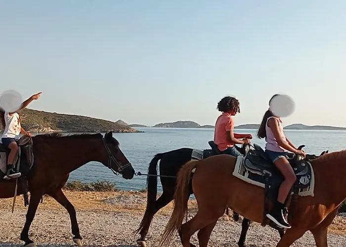 Appartement Voula's Garden Lipsi