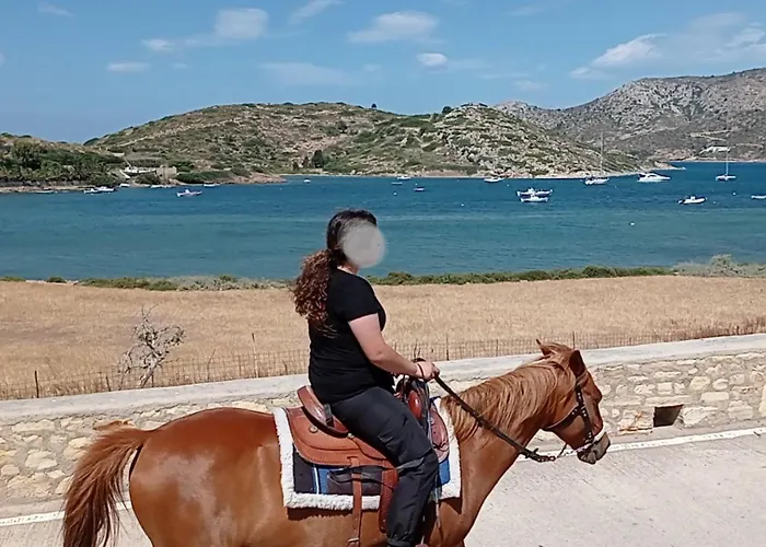 Voula's Garden Appartement *